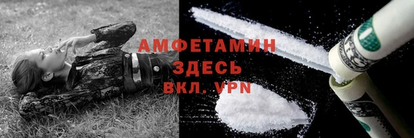 гидра Верхний Тагил