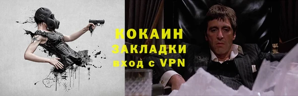 стафф Бронницы