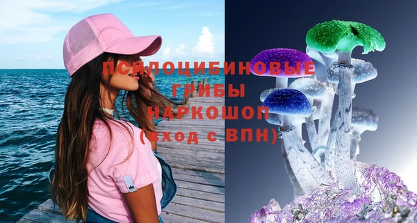 стафф Бронницы