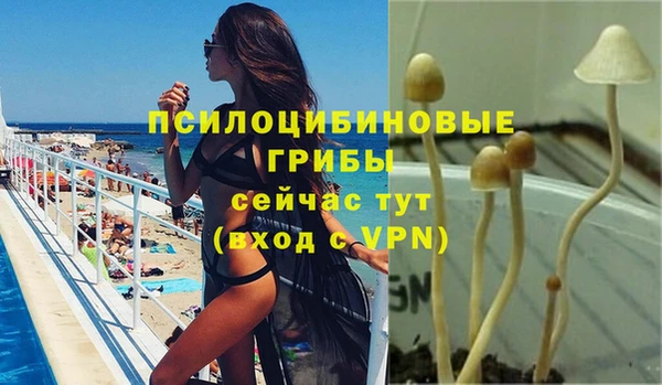 меф Тайга