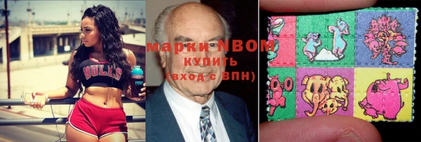 гидра Верхний Тагил