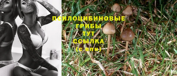 стафф Бронницы
